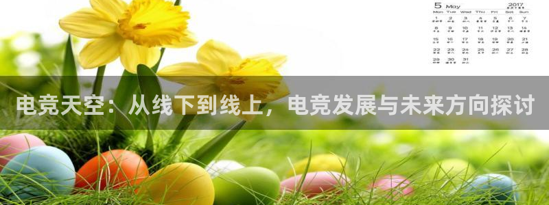 易游电竞：电竞天空：从线下到线上，电竞发展与未来方向探讨