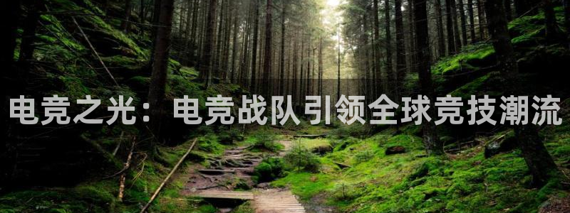 易游电竞官网：电竞之光：电竞战队引领全球竞技潮流