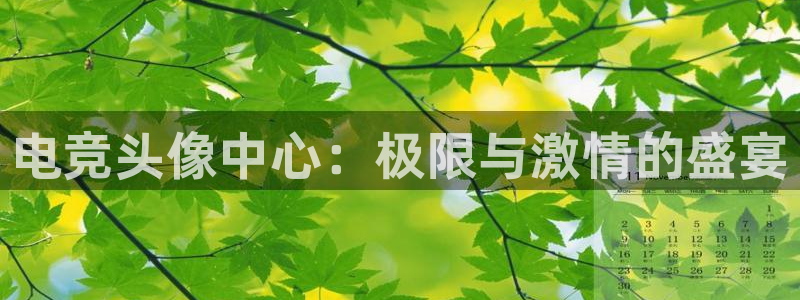 易游电竞：电竞头像中心：极限与激情的盛宴