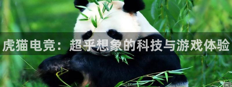易游电竞官网：虎猫电竞：超乎想象的科技与游戏体验