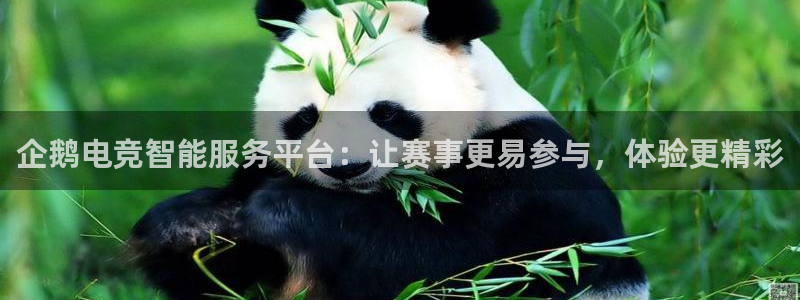 易游电竞官网：企鹅电竞智能服务平台：让赛事更易参与，体验更精彩