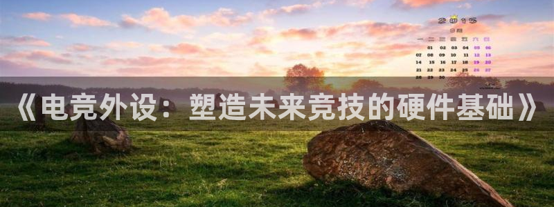 易游电竞官网：《电竞外设：塑造未来竞技的硬件基础》