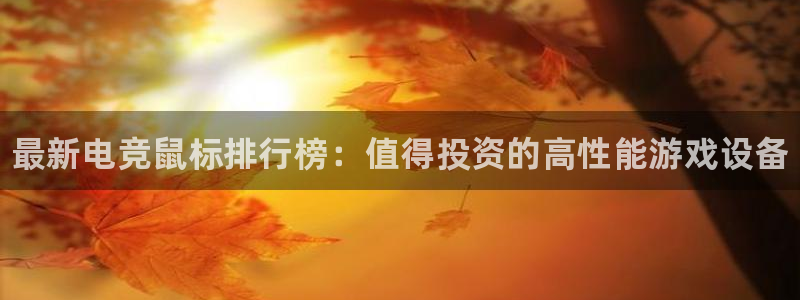 易游电竞官网：最新电竞鼠标排行榜：值得投资的高性能游戏设备