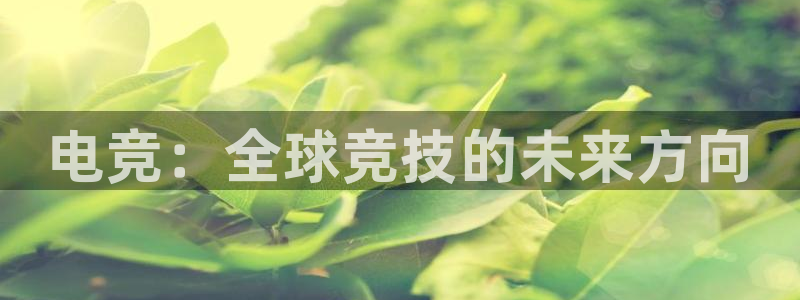 易游电竞：电竞：全球竞技的未来方向