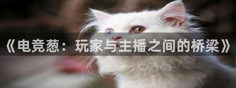 易游电竞官网：《电竞葱：玩家与主播之间的桥梁》