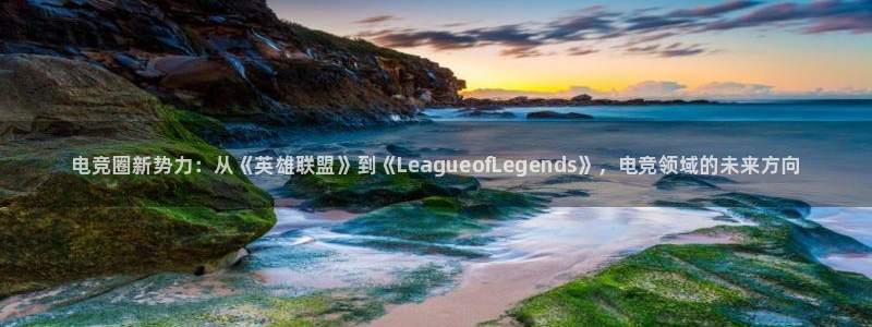 易游电竞官网：电竞圈新势力：从《英雄联盟》到《LeagueofLegends》，电竞领域的未来方向