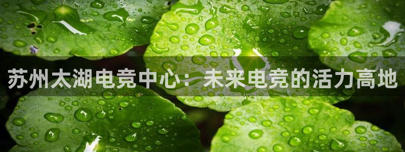 易游电竞：苏州太湖电竞中心：未来电竞的活力高地