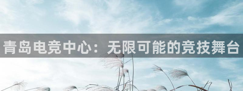 易游电竞官网：青岛电竞中心：无限可能的竞技舞台