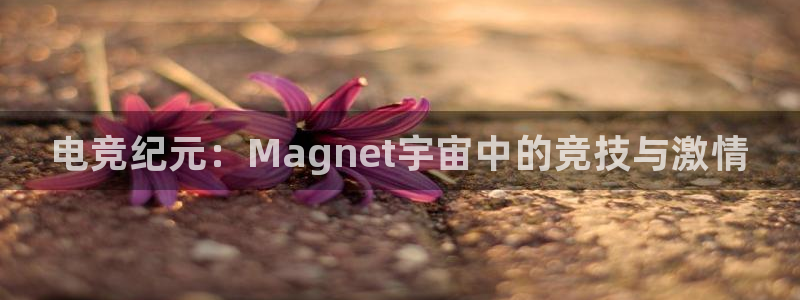 易游电竞官网：电竞纪元：Magnet宇宙中的竞技与激情