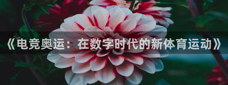 易游电竞官网：《电竞奥运：在数字时代的新体育运动》