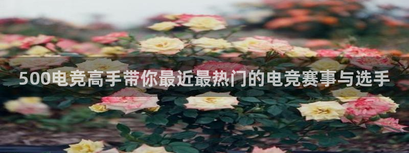 易游电竞官网：500电竞高手带你最近最热门的电竞赛事与选手
