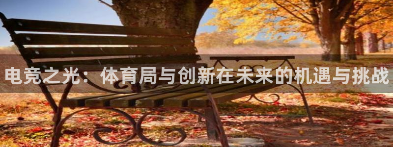 易游电竞官网：电竞之光：体育局与创新在未来的机遇与挑战