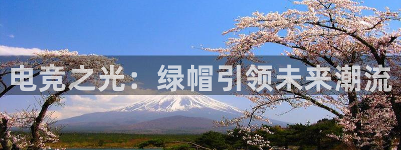易游电竞：电竞之光：绿帽引领未来潮流