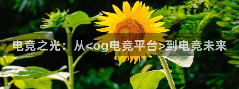 易游电竞：电竞之光：从<og电竞平台>到电竞未来