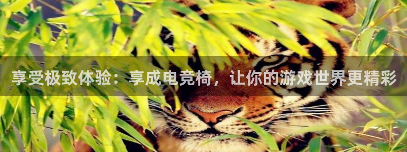 易游电竞官网：享受极致体验：享成电竞椅，让你的游戏世界更精彩