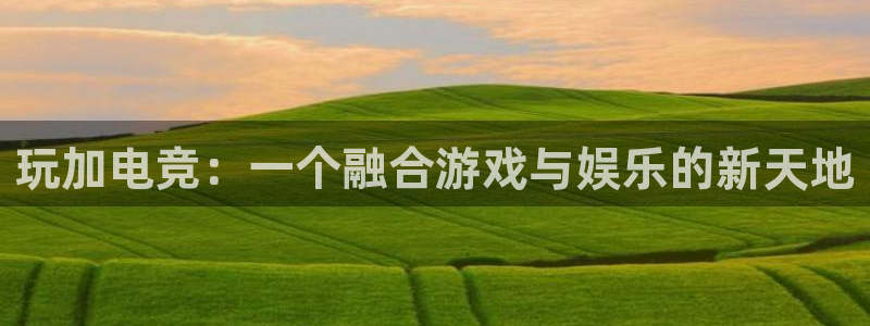 易游电竞：玩加电竞：一个融合游戏与娱乐的新天地