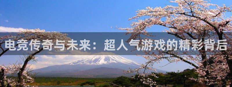 易游电竞官网：电竞传奇与未来：超人气游戏的精彩背后