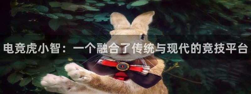 易游电竞：电竞虎小智：一个融合了传统与现代的竞技平台