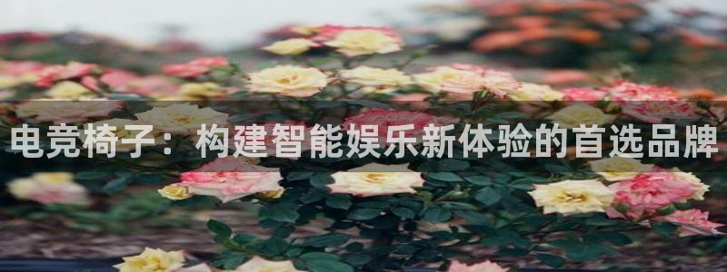 易游电竞官网：电竞椅子：构建智能娱乐新体验的首选品牌