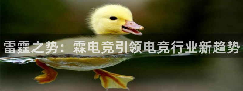 易游电竞官网：雷霆之势：霖电竞引领电竞行业新趋势