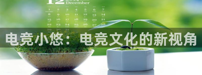 易游电竞：电竞小悠：电竞文化的新视角