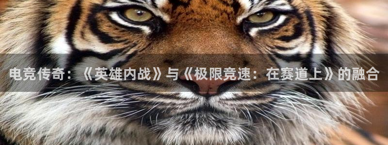 易游电竞官网：电竞传奇：《英雄内战》与《极限竞速：在赛道上》的融合