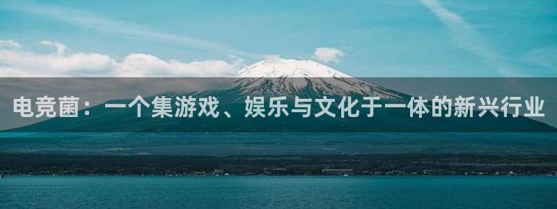 易游电竞：电竞菌：一个集游戏、娱乐与文化于一体的新兴行业