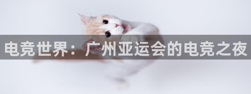 易游电竞官网：电竞世界：广州亚运会的电竞之夜