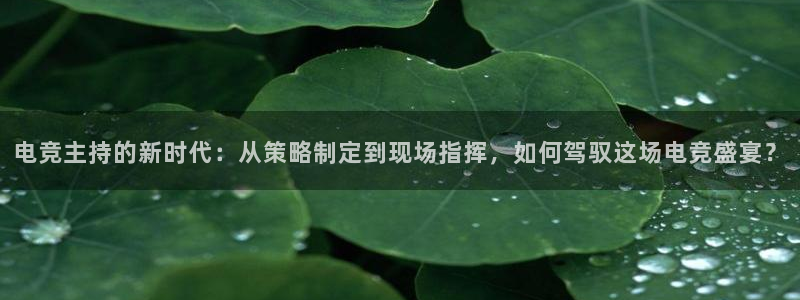 易游电竞官网：电竞主持的新时代：从策略制定到现场指挥，如何驾驭这场电竞盛宴？