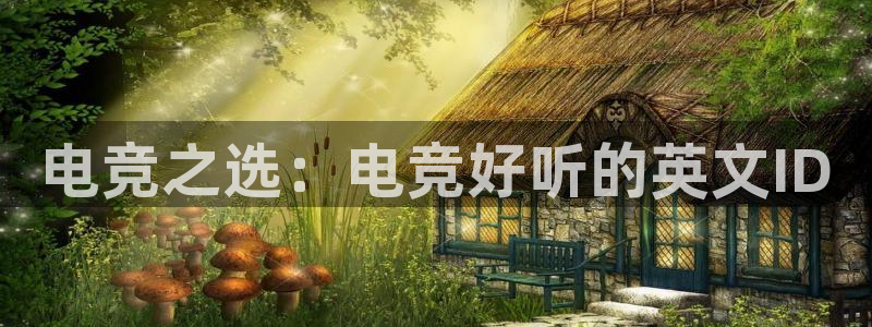易游电竞官网：电竞之选：电竞好听的英文ID