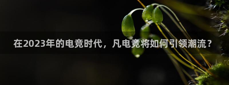 易游电竞：在2023年的电竞时代，凡电竞将如何引领潮流？