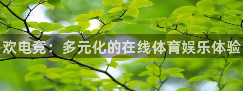 易游电竞官网：欢电竞：多元化的在线体育娱乐体验