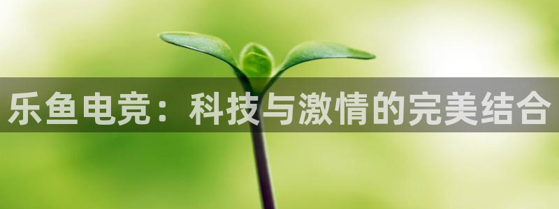 易游电竞官网：乐鱼电竞：科技与激情的完美结合
