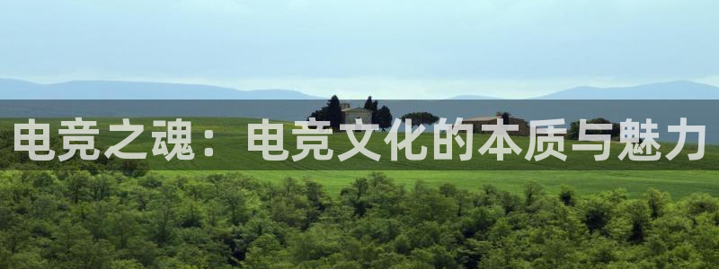 易游电竞：电竞之魂：电竞文化的本质与魅力