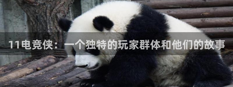 易游电竞：11电竞侠：一个独特的玩家群体和他们的故事