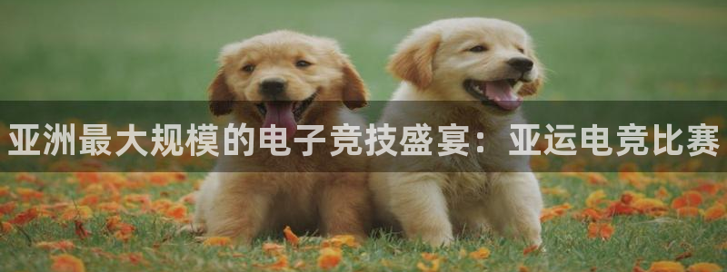 易游电竞官网：亚洲最大规模的电子竞技盛宴：亚运电竞比赛