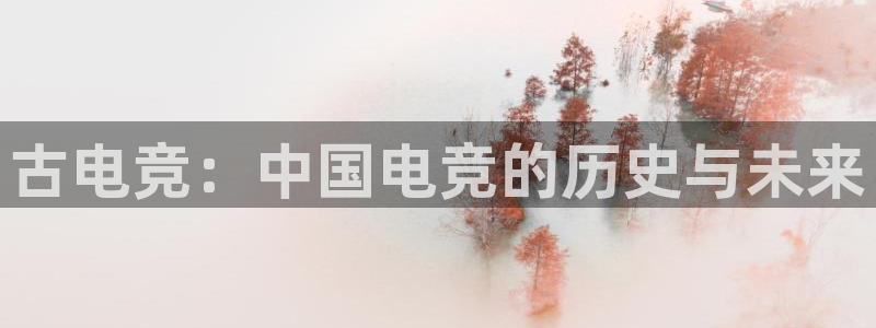 易游电竞：古电竞：中国电竞的历史与未来