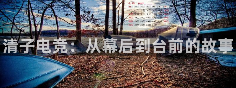 易游电竞官网：清子电竞：从幕后到台前的故事