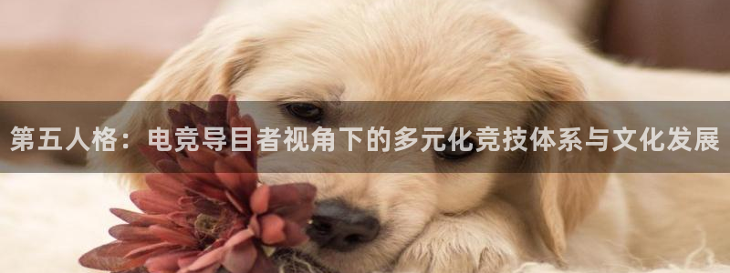 易游电竞：第五人格：电竞导目者视角下的多元化竞技体系与文化发展