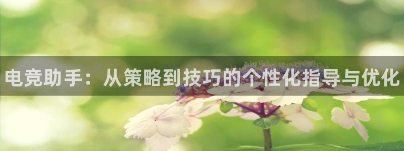 易游电竞官网：电竞助手：从策略到技巧的个性化指导与优化