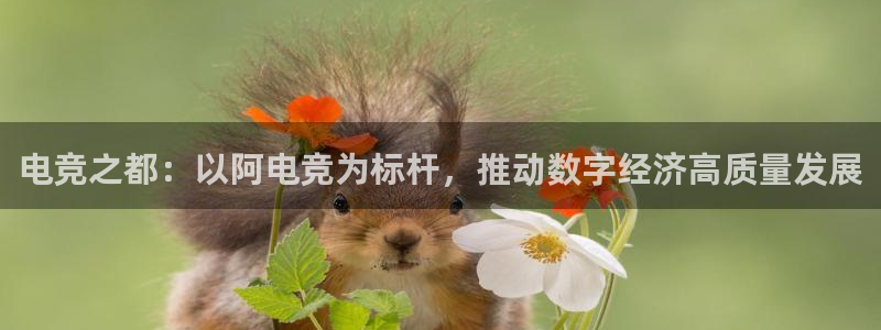 易游电竞官网：电竞之都：以阿电竞为标杆，推动数字经济高质量发展