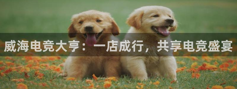 易游电竞：威海电竞大亨：一店成行，共享电竞盛宴